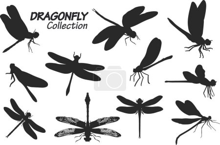 Foto de Ilustración vectorial del logotipo de libélula e insectos. colección de insectos y naturaleza símbolo de reserva para la web. - Imagen libre de derechos
