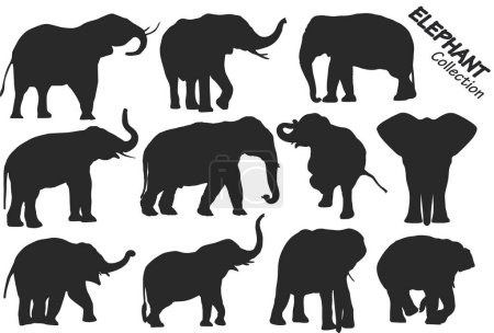 Foto de Conjunto de elefantes vectoriales sobre un fondo negro. - Imagen libre de derechos