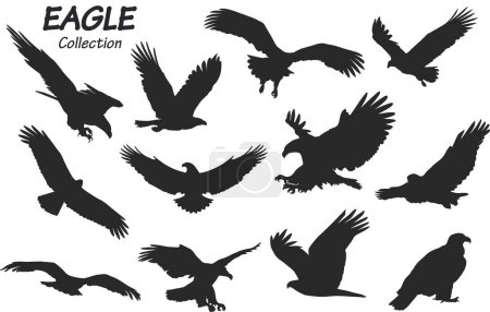 Foto de Silueta de un águila negra sobre fondo blanco - Imagen libre de derechos