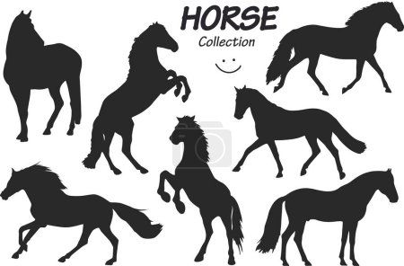 Foto de Conjunto de siluetas de caballo sobre fondo blanco, ilustración vectorial - Imagen libre de derechos