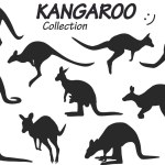 kangaroo silhouettes vector illustration