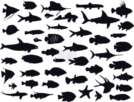 Foto de Siluetas de animales marinos, peces, vector - Imagen libre de derechos