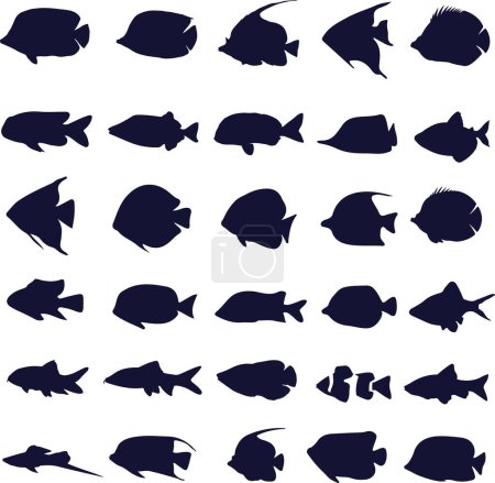 Foto de Siluetas de animales marinos, peces, vector - Imagen libre de derechos