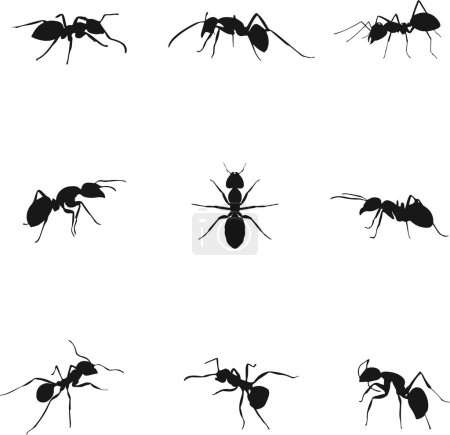 Foto de Ilustración vectorial de insectos y moscas símbolo. colección de elemento y signo de stock web. - Imagen libre de derechos