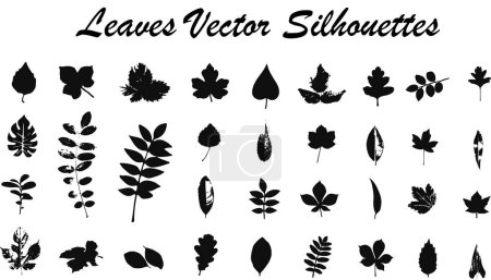 Foto de Hojas de plantas y ramas. ilustración vectorial - Imagen libre de derechos