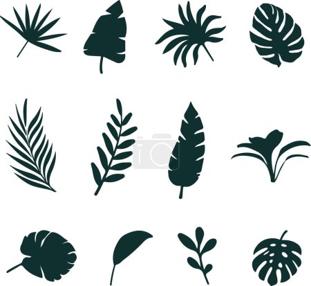 Foto de Conjunto de hojas y plantas. colección de siluetas negras. ilustración vectorial - Imagen libre de derechos