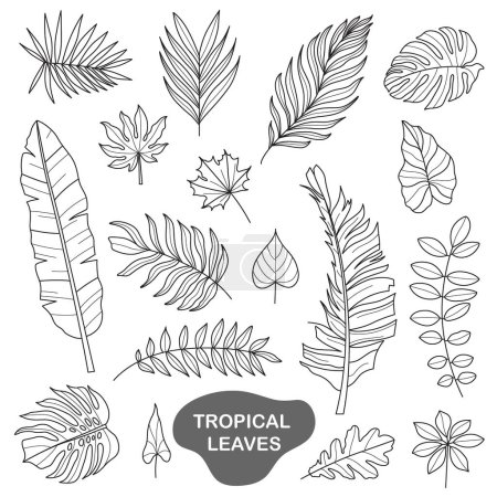 tropical leaves doodle illustration