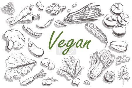 Foto de Vegan ilustración vectorial dibujado a mano - Imagen libre de derechos