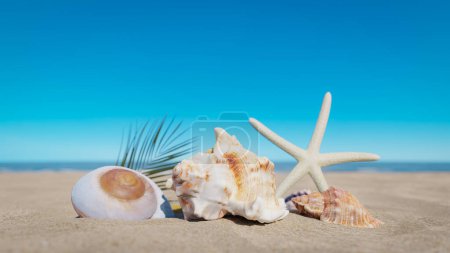 Téléchargez les photos : Ciel bleu et coquillages sur le sable. Rendu 3d - en image libre de droit