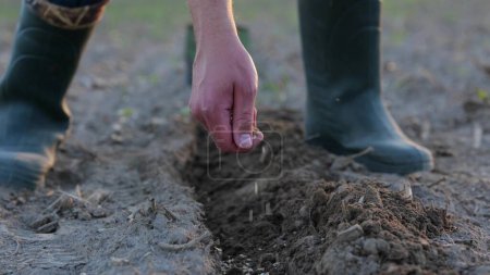 Farmer hand planting organic plant seeds in the farm. Close up of male hands putting seeds in the ground in field. Organic farming. Man cultivating plants in countryside. Agricultural business concept