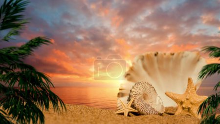 Foto de Seashells and Starfish by the Sea. Foto de fondo para el concepto de verano y vacaciones. (Usted puede encontrar el video de esta imagen en mi cartera.) - Imagen libre de derechos