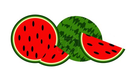 Watermelon Vector Design And Illustration.