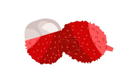 lychee Vector Design And Illustration.