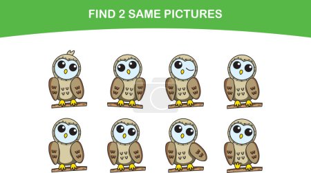 Finding the same owl. Find 2 similar images