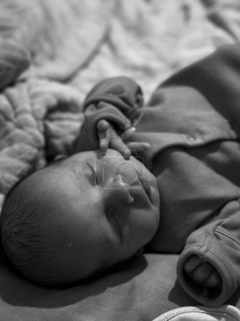 Photo for A beautiful portrait of a new born baby boy. This photo has been captured only hours after birth - Royalty Free Image