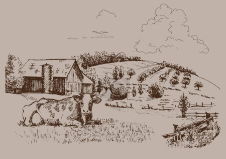 Ilustración de Campo de hierba verde en pequeñas colinas. Pradera, álcali, lejía, pastizales, pomo, pulga, pastos, granja. Paisaje rural paisaje panorama de pastos rurales. Dibujo vectorial ilustración - Imagen libre de derechos