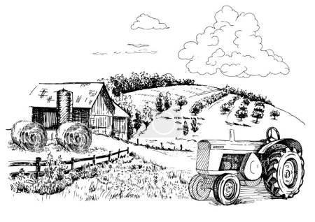 Foto de Campo de hierba verde en pequeñas colinas. Pradera, álcali, lejía, pastizales, pomo, pulga, pastos, granja. Paisaje rural paisaje panorama de pastos rurales. Dibujo vectorial ilustración - Imagen libre de derechos