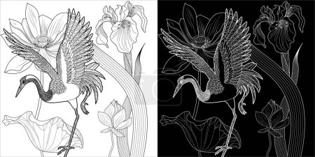 Illustration for Coloring Pages. Coloring Book for adults and children. Colouring pictures with stork. Linear engraved art. Bird concept. Romantic concept. Vector design - Royalty Free Image
