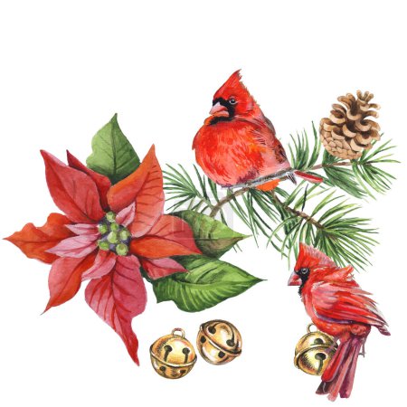 Ilustración de Las aves cardinales - el símbolo de la Navidad, la granada madura roja. Conjunto de elementos de diseño aislados sobre fondo blanco. Ilustración vectorial en un estilo acuarela. - Imagen libre de derechos