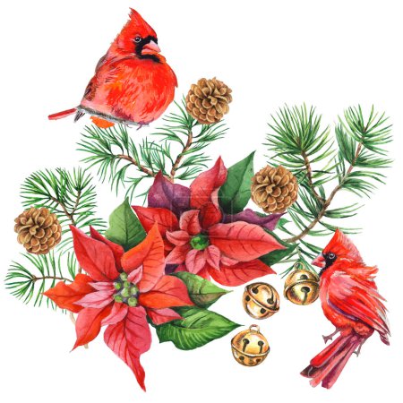 Illustration for Cardinal birds - a symbol of Christmas, ripe red pomegranate . Set of design elements isolated on white background. Vector illustration in a watercolor style. - Royalty Free Image