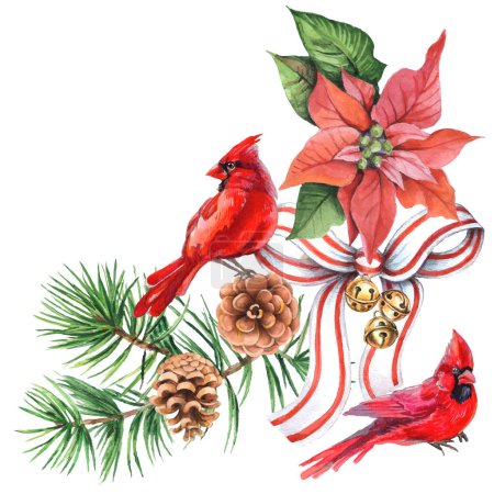 Foto de Las aves cardinales - el símbolo de la Navidad, la granada madura roja. Conjunto de elementos de diseño aislados sobre fondo blanco. Ilustración vectorial en un estilo acuarela. - Imagen libre de derechos