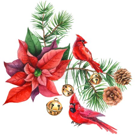 Téléchargez les illustrations : Oiseaux cardinaux - symbole de Noël, grenade rouge mûre. Ensemble d'éléments de conception isolés sur fond blanc. Illustration vectorielle dans un style aquarelle. - en licence libre de droit