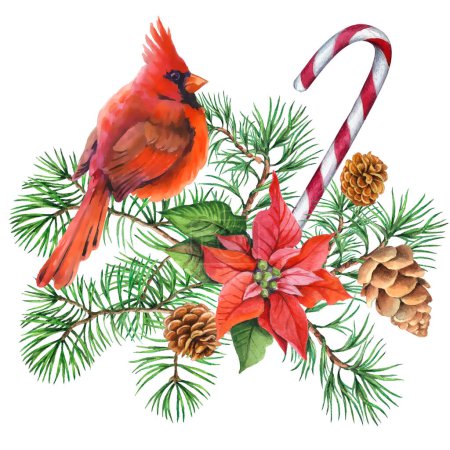 Illustration for Cardinal birds - a symbol of Christmas, ripe red pomegranate . Set of design elements isolated on white background. Vector illustration in a watercolor style. - Royalty Free Image