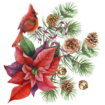 Ilustración de Las aves cardinales - el símbolo de la Navidad, la granada madura roja. Conjunto de elementos de diseño aislados sobre fondo blanco. Ilustración vectorial en un estilo acuarela. - Imagen libre de derechos