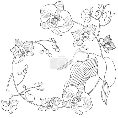 Ilustración de Página para colorear de terapia de arte. Imagen lineal de flores de orquídea. Las imágenes son perfectas para crear tarjetas, pegatinas, fondos de pantalla y otros proyectos. - Imagen libre de derechos