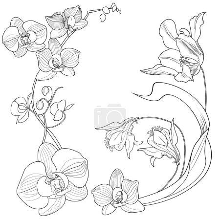 Ilustración de Página para colorear de terapia de arte. Imagen lineal de flores de orquídea. Las imágenes son perfectas para crear tarjetas, pegatinas, fondos de pantalla y otros proyectos. - Imagen libre de derechos