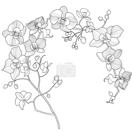 Illustration for Art therapy coloring page. Linear image of orchid flowers. The pictures are perfect for creating cards, stickers, wallpapers and other projects. - Royalty Free Image
