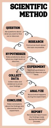 Photo for Scientific Method Education Infographic - Royalty Free Image