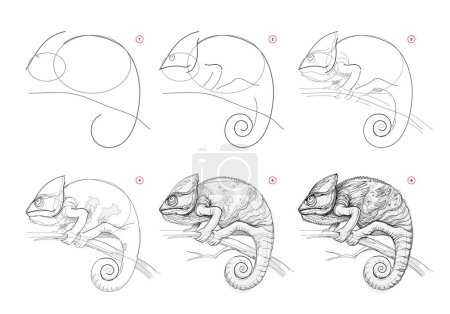 Illustration for Page shows how to learn to draw sketch of chameleon. Creation step by step pencil drawing. Educational page for artists. Textbook for developing artistic skills. online education. vector image. - Royalty Free Image