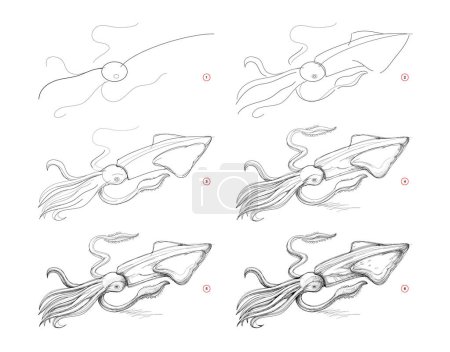 Illustration for Page shows how to learn to draw sketch of squid. Creation step by step pencil drawing. Educational page for artists. Textbook for developing artistic skills. online education. vector image. - Royalty Free Image