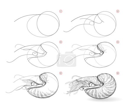 Illustration for Page shows how to learn to draw sketch of nautilus clam. Creation step by step pencil drawing. Educational page for artists. Textbook for developing artistic skills. Online education. Vector image. - Royalty Free Image
