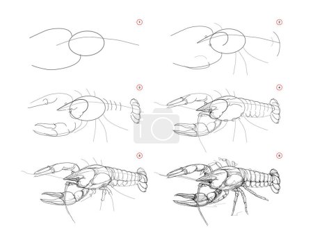 Illustration for Page shows how to learn to draw sketch of crayfish. Creation step by step pencil drawing. Educational page for artists. Textbook for developing artistic skills. Online education. Vector image. - Royalty Free Image