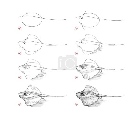 Illustration for Page shows how to learn to draw sketch of crampfish. Pencil drawing lessons Educational page for artists. Textbook for developing artistic skills. Online education. Vector image. - Royalty Free Image