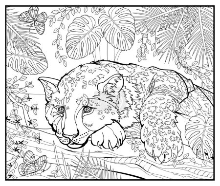Libro para colorear para niños y adultos. Lindo leopardo en la selva. Animales para colorear. Ilustración en estilo zentangle. Página imprimible para dibujo y meditación. Vector blanco y negro.