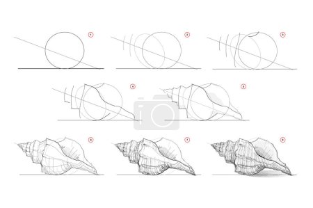 Illustration for Page shows how to learn to draw sketch of sea shell. Pencil drawing lessons. Educational page for artists. Textbook for developing artistic skills. Online education. Vector image. - Royalty Free Image