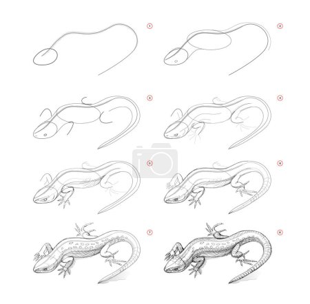 Illustration for Page shows how to learn to draw sketch of cute little lizard. Pencil drawing lessons. Educational page for artists. Textbook for developing artistic skills. Online education. Vector image. - Royalty Free Image