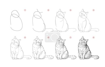 Illustration for Page shows how to learn to draw sketch of cute cat. Pencil drawing lessons. Educational page for artists. Textbook for developing artistic skills. Online education. Vector illustration. - Royalty Free Image