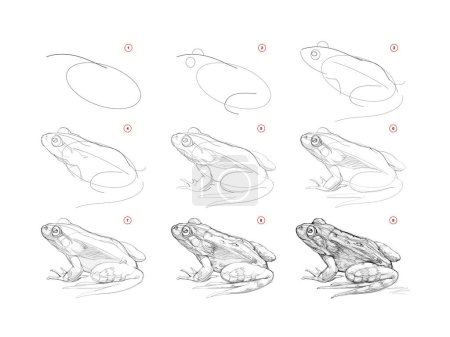 Illustration for Page shows how to learn to draw sketch of realistic frog. Pencil drawing lessons. Educational page for artists. Textbook for developing artistic skills. Online education. Vector illustration. - Royalty Free Image