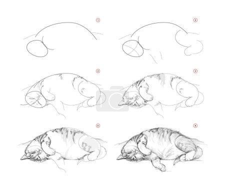 Illustration for Page shows how to learn to draw sketch of cute sleeping cat. Pencil drawing lessons. Educational page for artists. Textbook for developing artistic skills. Online education. Vector illustration - Royalty Free Image