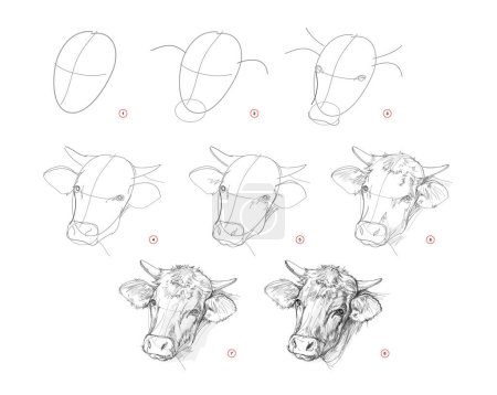 Illustration for Page shows how to learn to draw sketch a cow head. Pencil drawing lessons. Educational page for artists. Textbook for developing artistic skills. Online education. Vector illustration. - Royalty Free Image