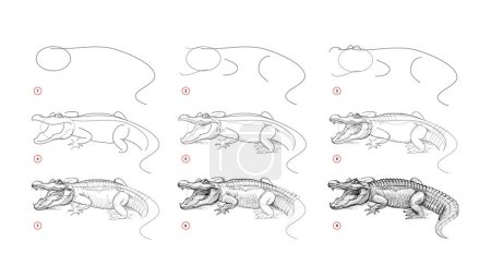 Illustration for Page shows how to learn to draw sketch a redoubtable alligator. Pencil drawing lessons. Educational page for artists. Textbook for developing artistic skills. Online education. Vector illustration. - Royalty Free Image