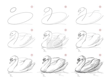 Illustration for Page shows how to learn to draw from life sketch a swimming swan. Pencil drawing lessons. Educational page for artists. Textbook for developing artistic skills. Online education. Vector illustration. - Royalty Free Image