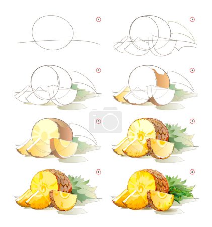 Illustration for How to learn to draw sketch of a pineapple. Creation step by step watercolor painting. Educational page for artists. Textbook for developing artistic skills. Vector illustration. - Royalty Free Image