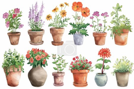 Ensemble de peinture aquarelle printemps ou été fleurs et feuilles branche en pot jardin plantes illustration vectorielle