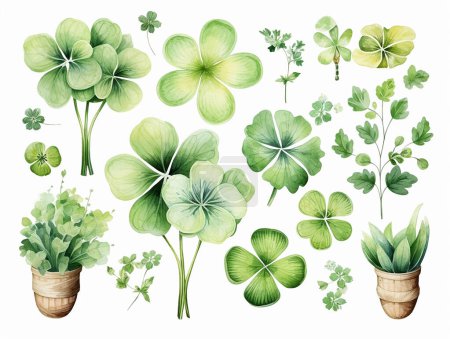 Set of watercolor clover isolated on white background. Clover flowers St Patrick's Day background. Spring flower pattern