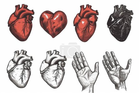 Téléchargez les illustrations : Illustration collection de mains dans diverses poses donnant de l'amour - en licence libre de droit